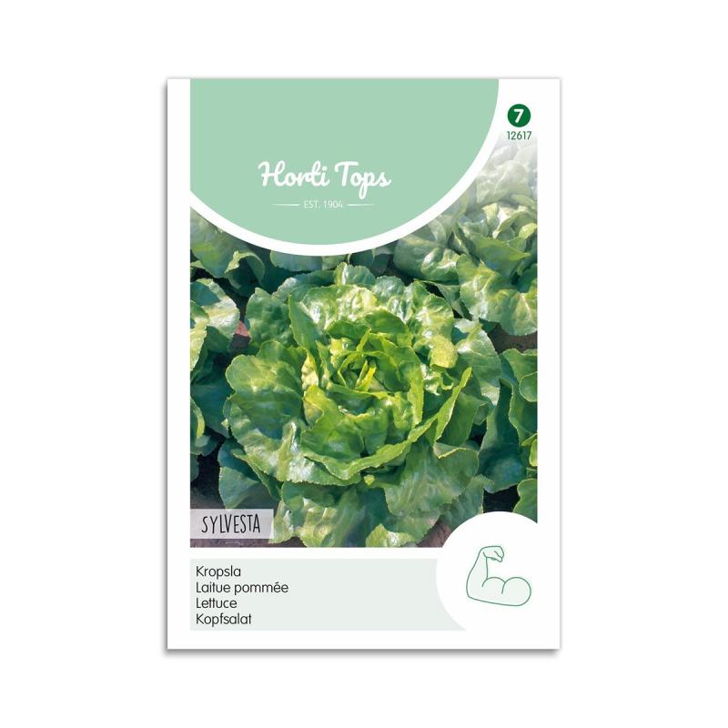 Hovedsalat Frø  Quot Sylvesta Quot  Horti Tops