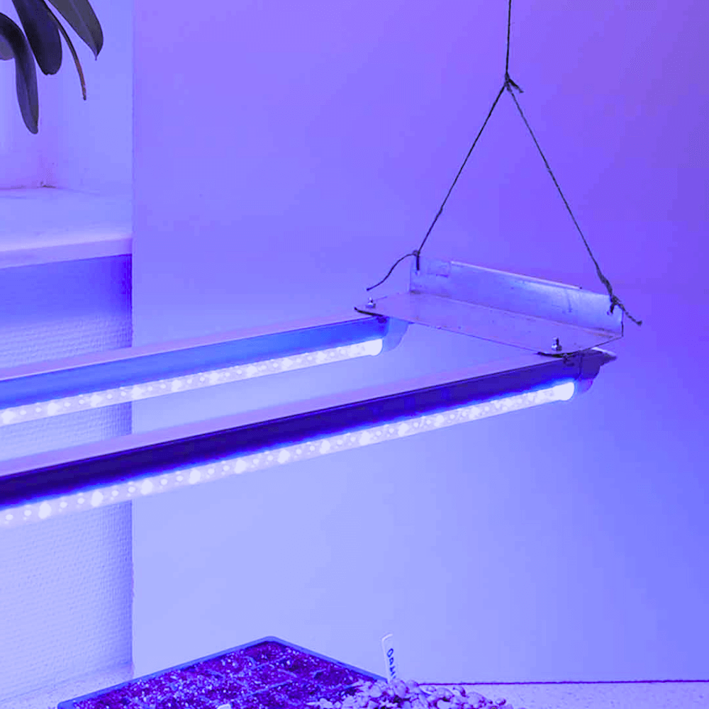 Indendørs Vækstlys Med Led Dobbelt 120