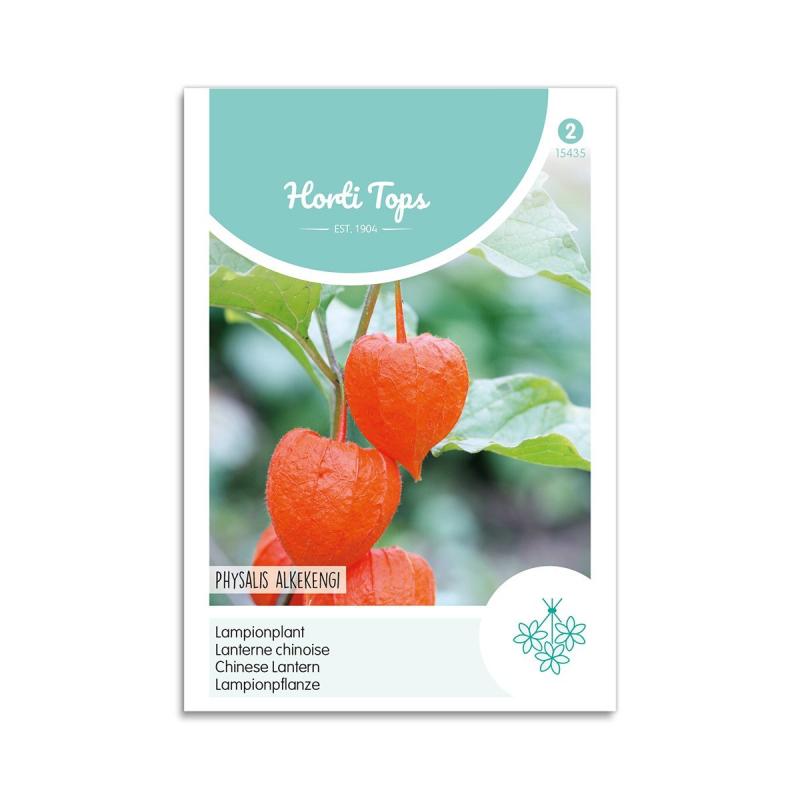 Japansk Lygte Frø Horti Tops