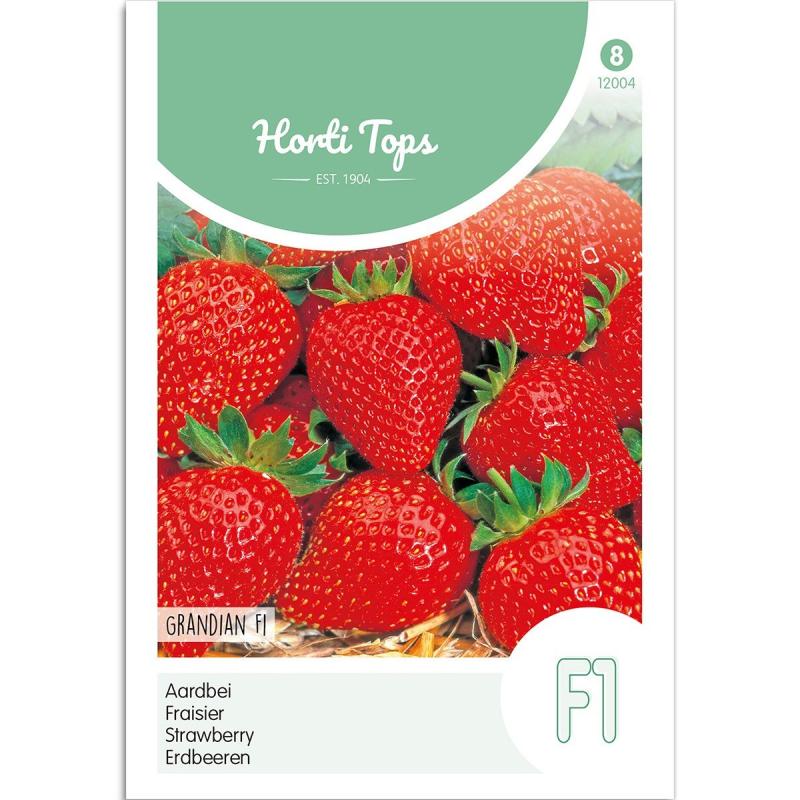 Jordbær Frø Quot Grandian F1 Quot Horti Tops