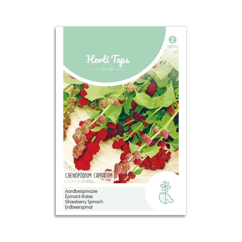 Jordbærspinat Frø Quot Chenopodium Capitatum Quot Horti Tops