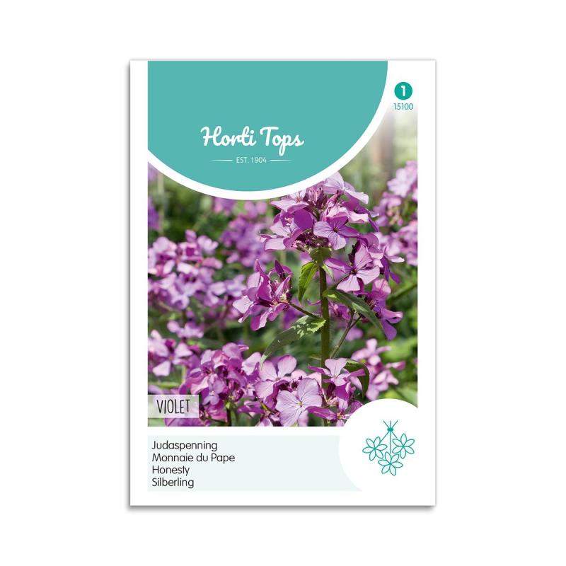 Judaspenge Frø  Quot Violet Quot  Horti Tops