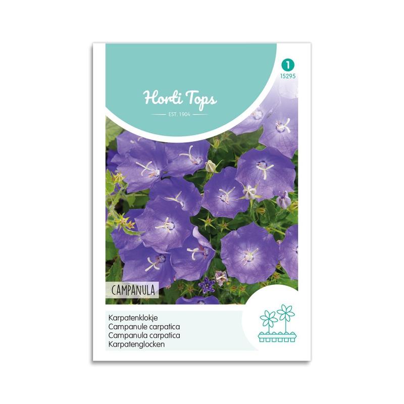 Karpaterklokke Frø  Quot Campanula Quot  Horti Tops