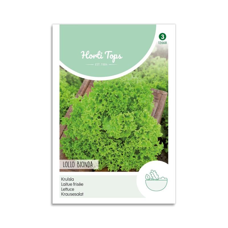 Krølsalat Frø Quot Lollo Bionda Quot Horti Tops