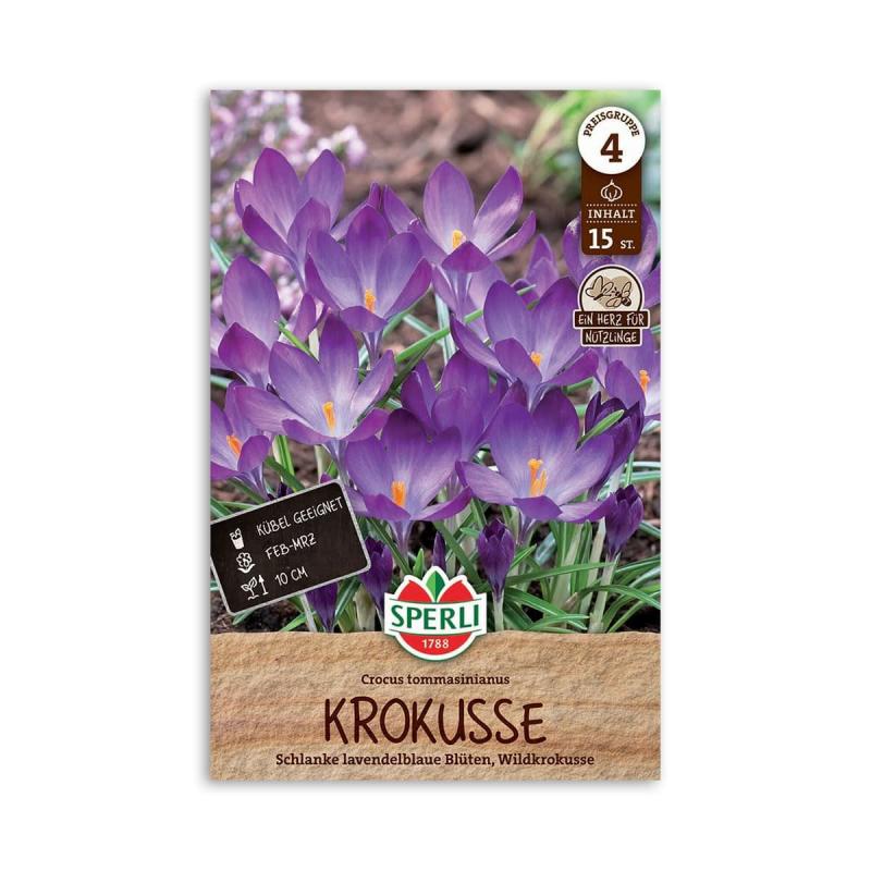 Krokusløg  Quot Vild Krokus Tommasinianus Quot  15 Løg