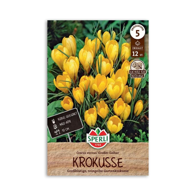 Krokusløg Store Gule 10 Løg