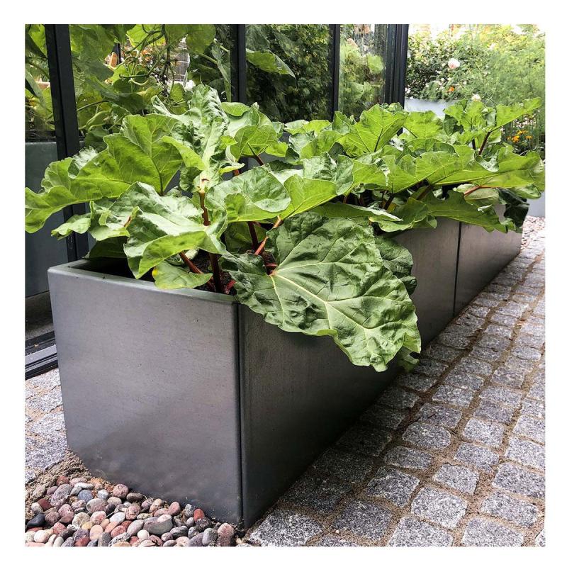 Land Modern Stort Aflangt Højbed Galvaniseret Stål 40 160 40