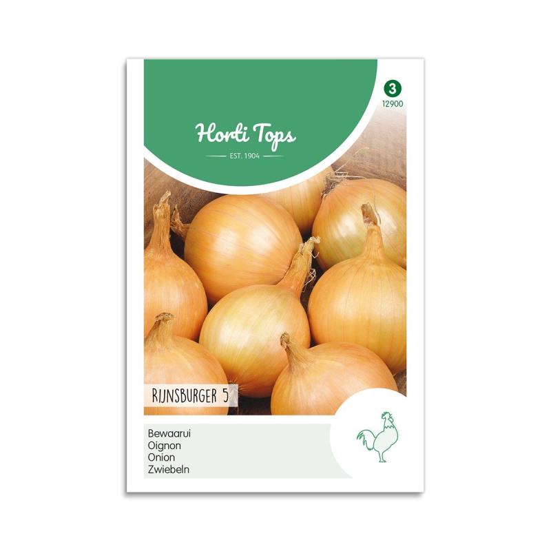 Løg Frø  Quot Rijnsburger   Quot  Horti Tops