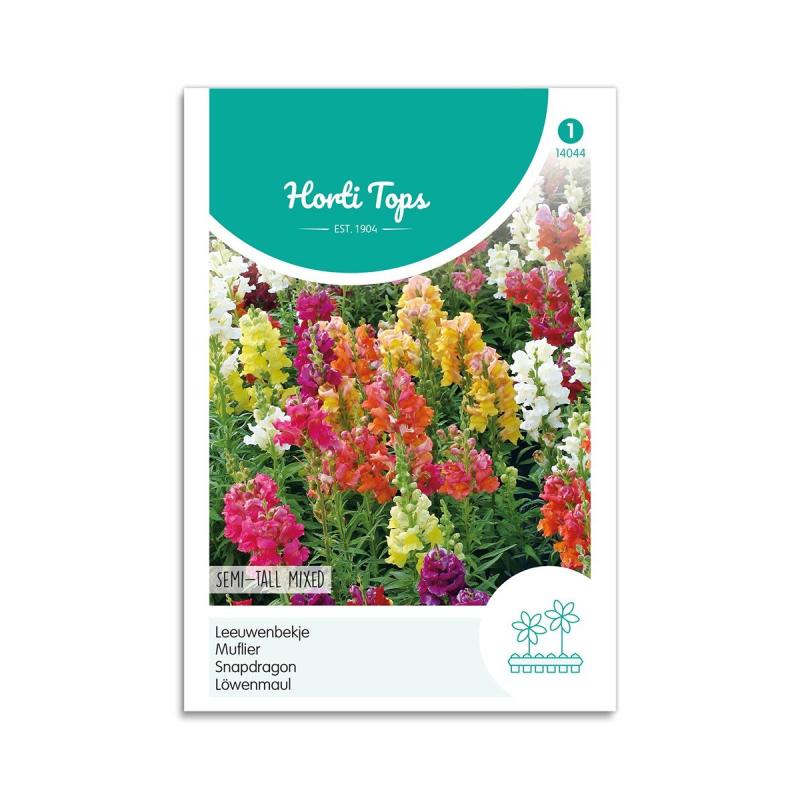 Løvemund Frø  Quot Medium Høj Mix Quot  Horti Tops