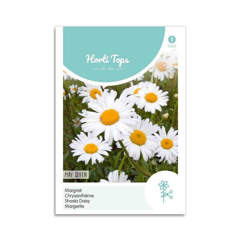 Marguerit Frø Quot May Queen Quot Horti Tops