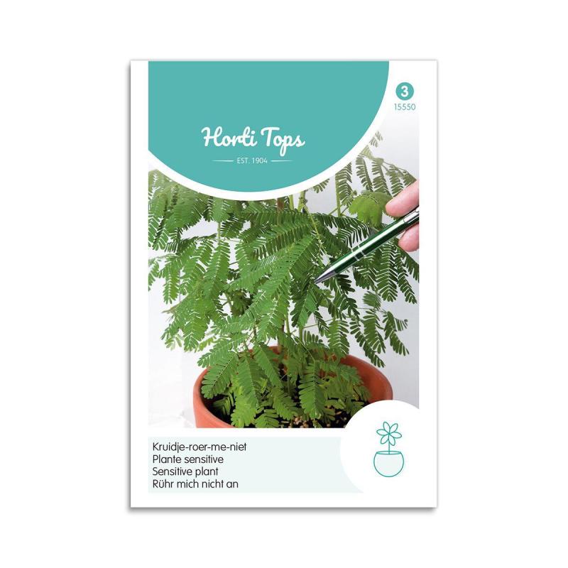 Mimose Frø  Quot Rør-mig-  Quot  Horti Tops