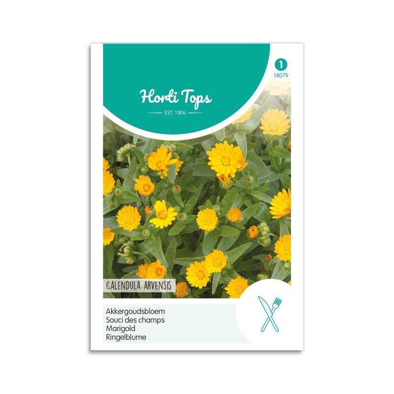 Morgenfrue-ager Frø Quot Calendula Arvensis Quot Horti Tops