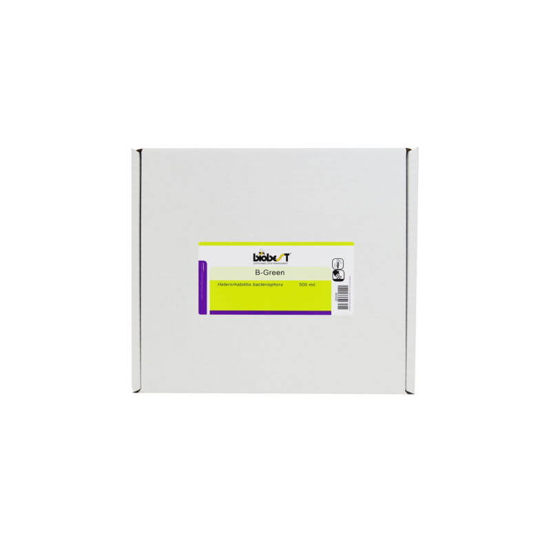 Nematoder Mod øresnudebiller 10-100 M2 10-20 M2 10 Mio Stk