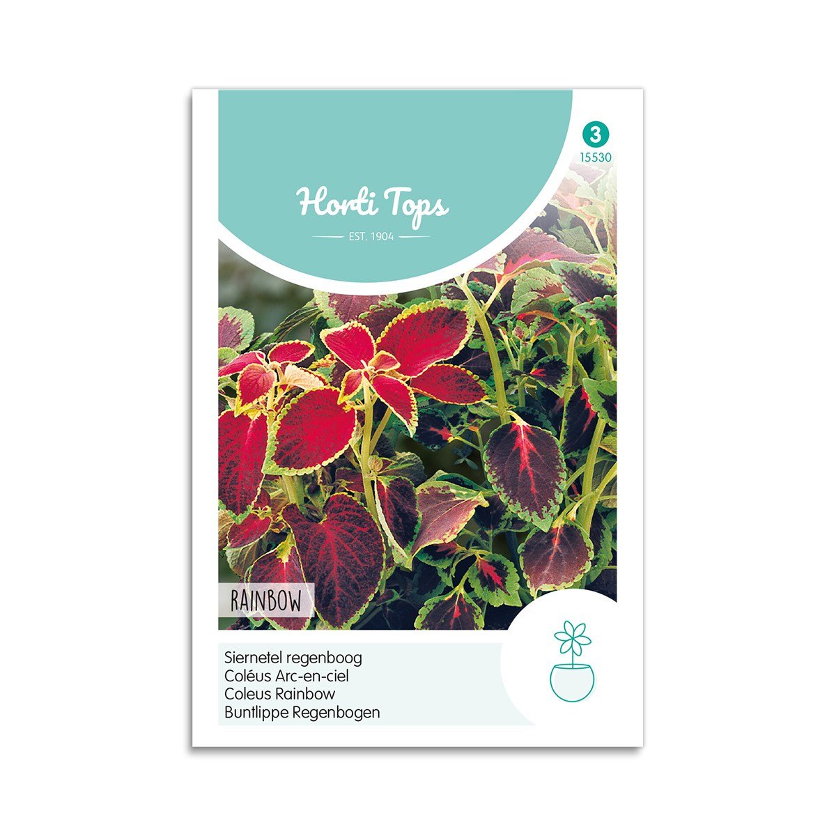 Paletblad Frø  Quot Rainbow Quot  Horti Tops