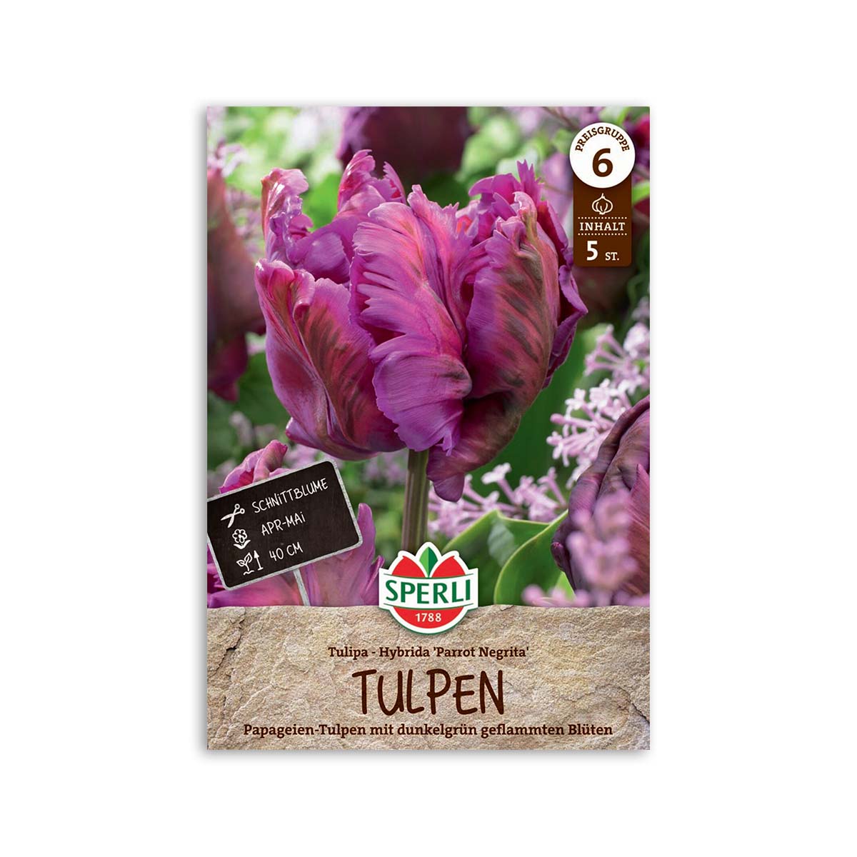 Papegøje Tulipan  Quot Parrot Negrita Quot    Løg