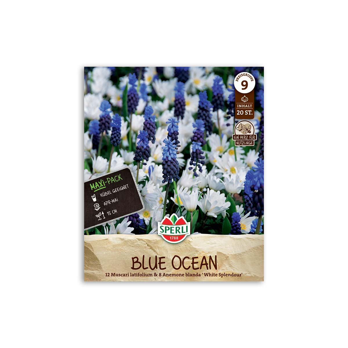 Perlehyacint Anemone Blanding  Quot Blue Ocean Quot   20 Løg