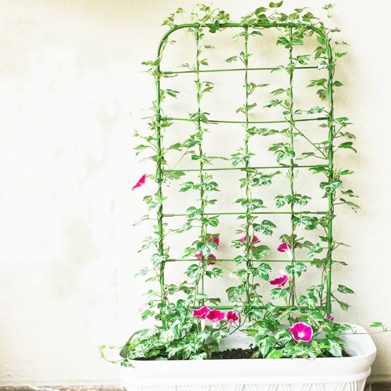Plantestøtte Espalier Flere Størrelser 75 26