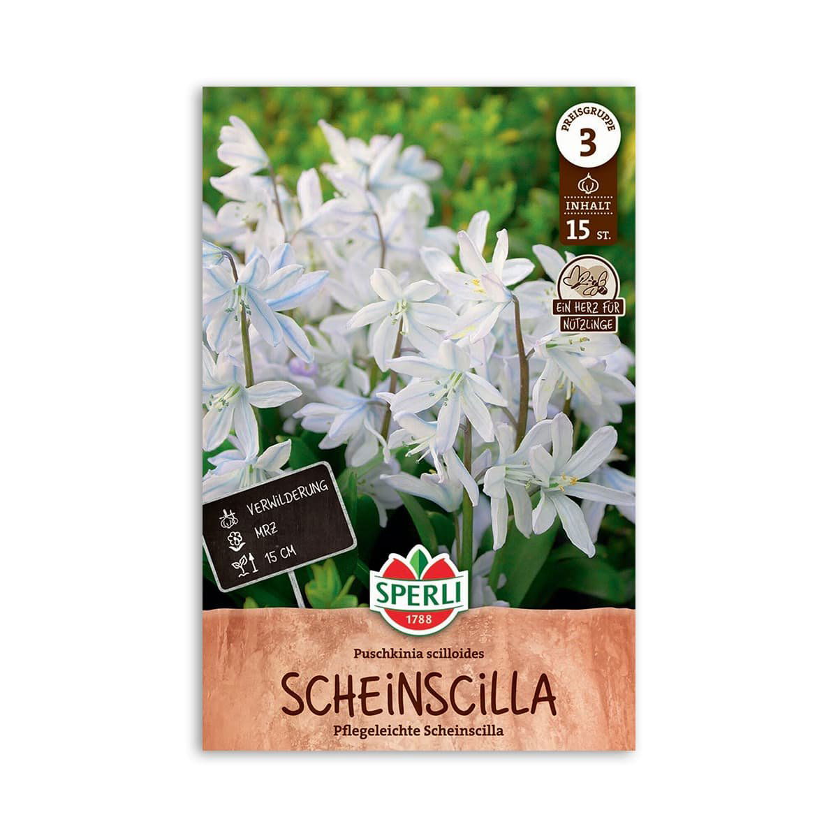 Porcelænshyacint  Quot Puschkinia Scilloides Quot  15 Løg