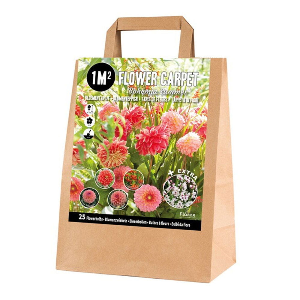 Pose Med Blandede Blomsterløg Bohemian Summer M2