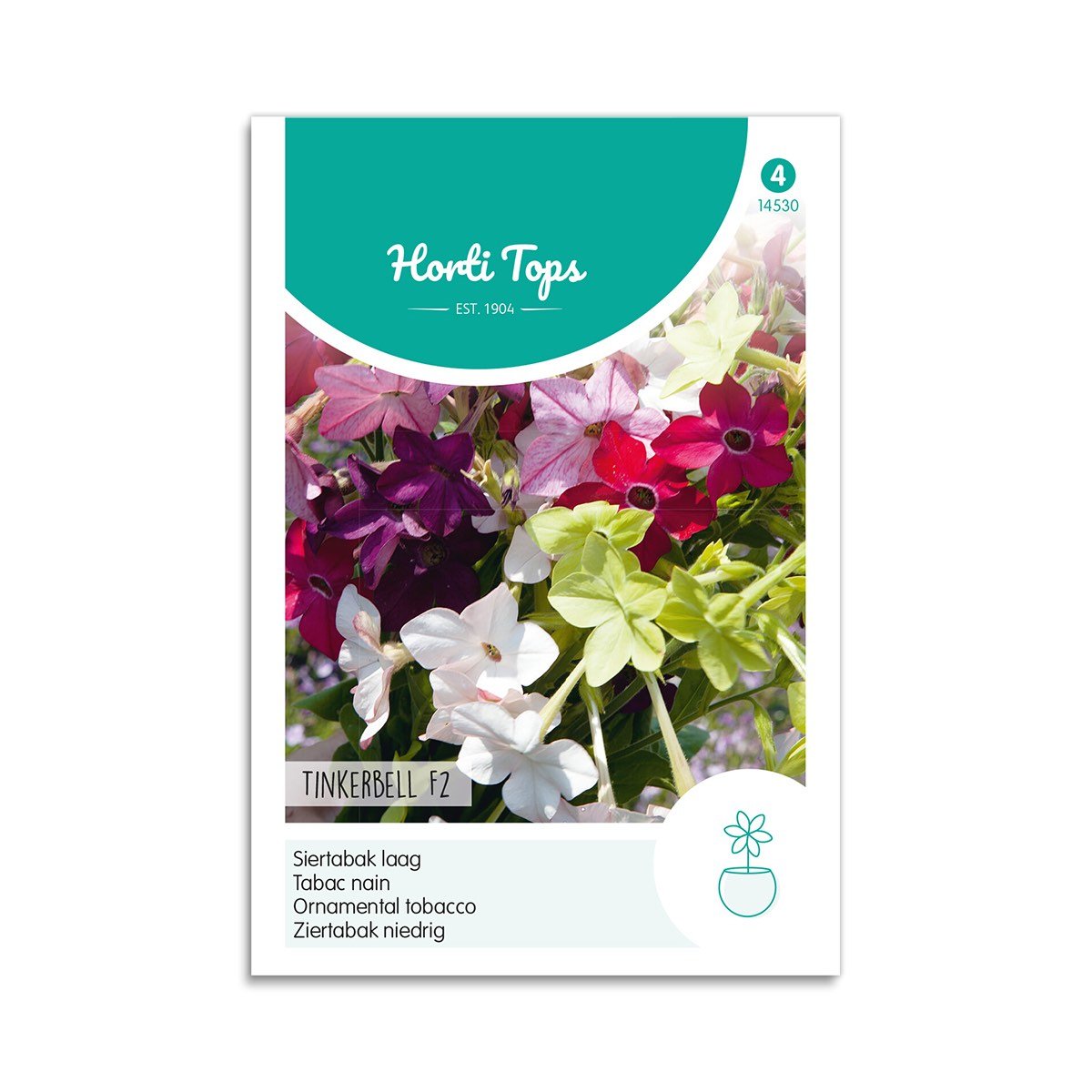Prydtobak Frø Quot Tinkerbell F2 Quot Horti Tops