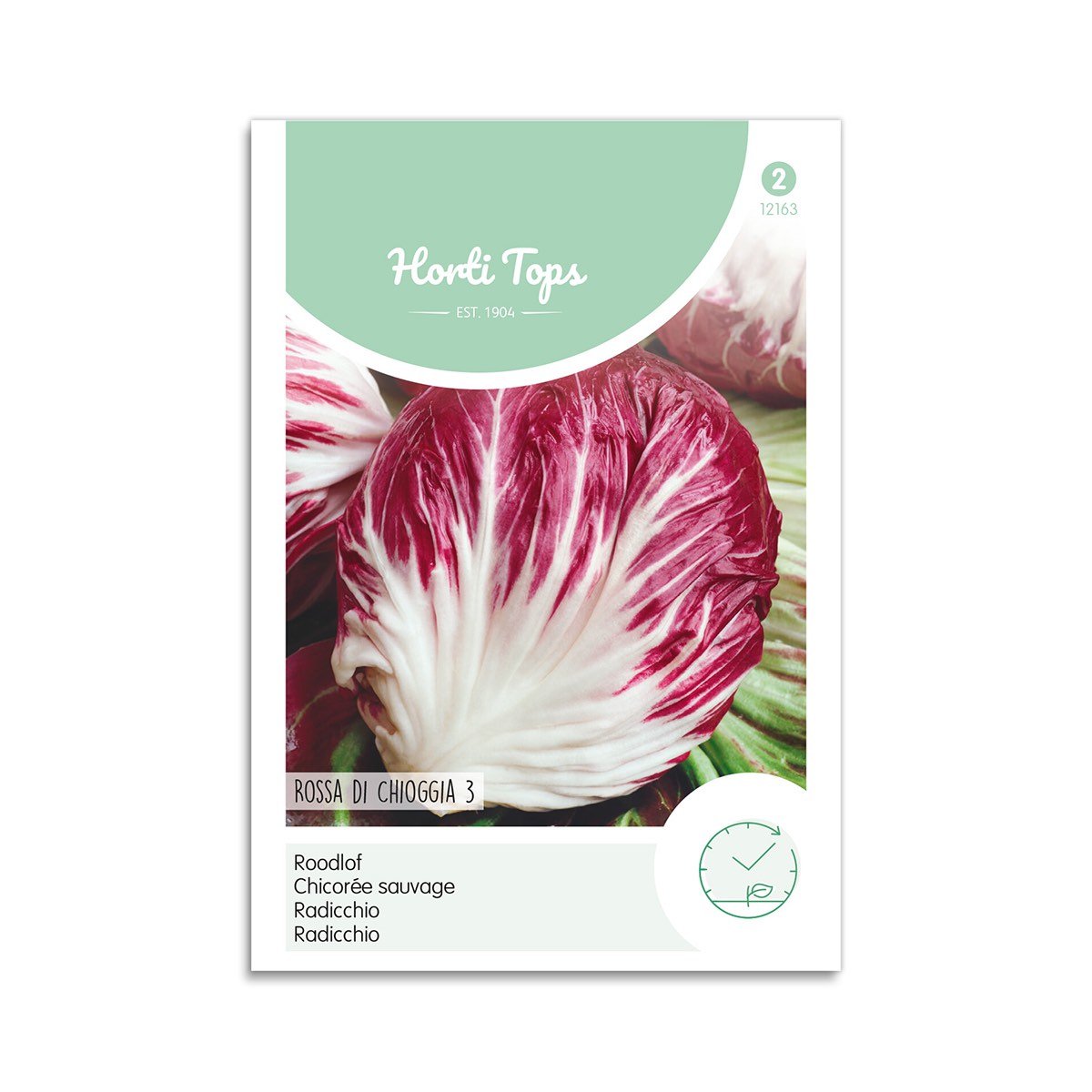Radicchio Frø  Quot Rossa   Chioggia   Quot  Horti Tops