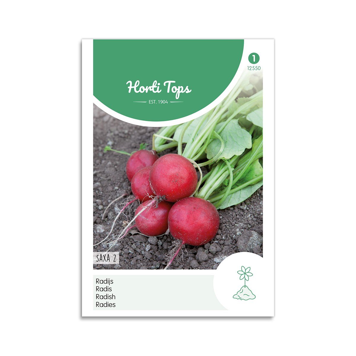 Radise Frø  Quot Saxa   Quot  Horti Tops