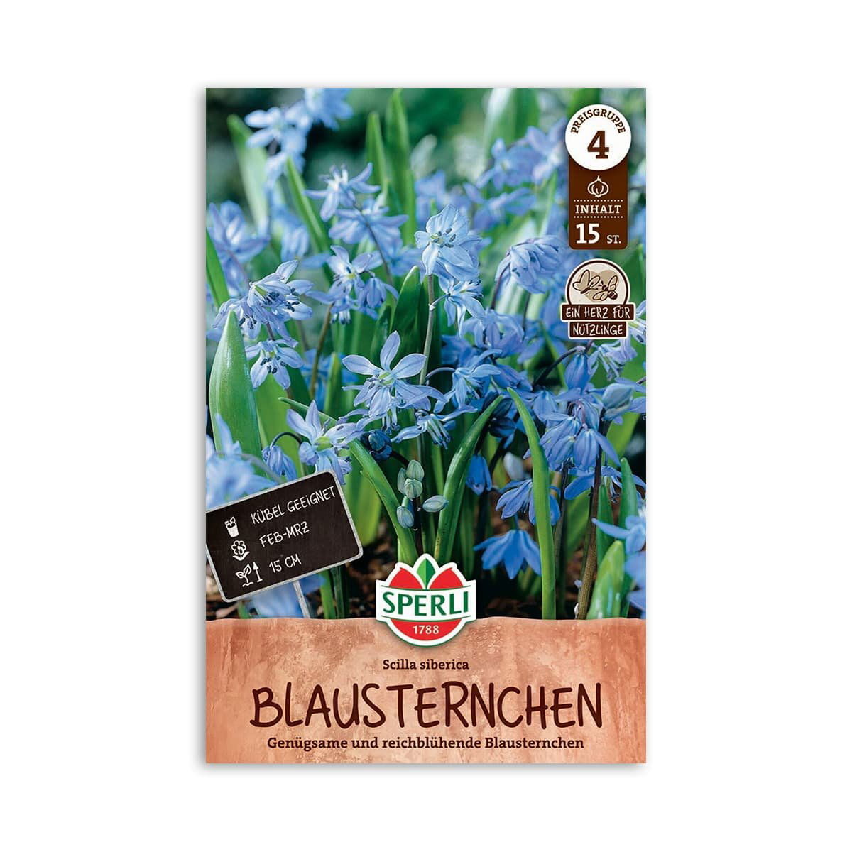 Skilla Scilla Siberica 15 Løg