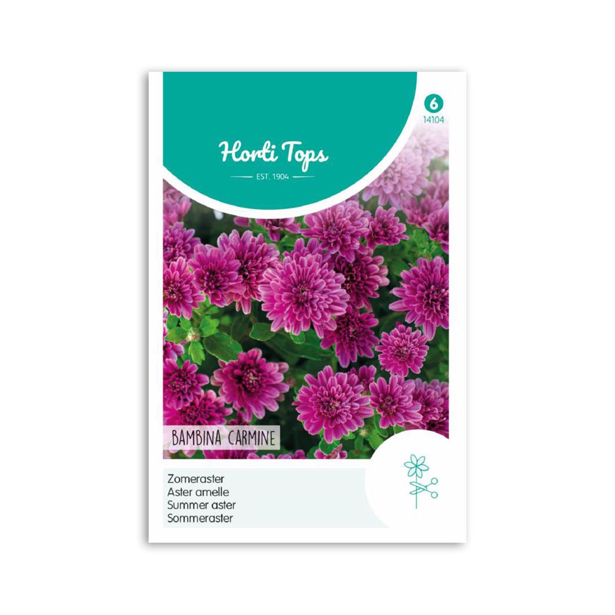 Sommer Asters Frø Quot Bambina Carmine Quot Horti Tops