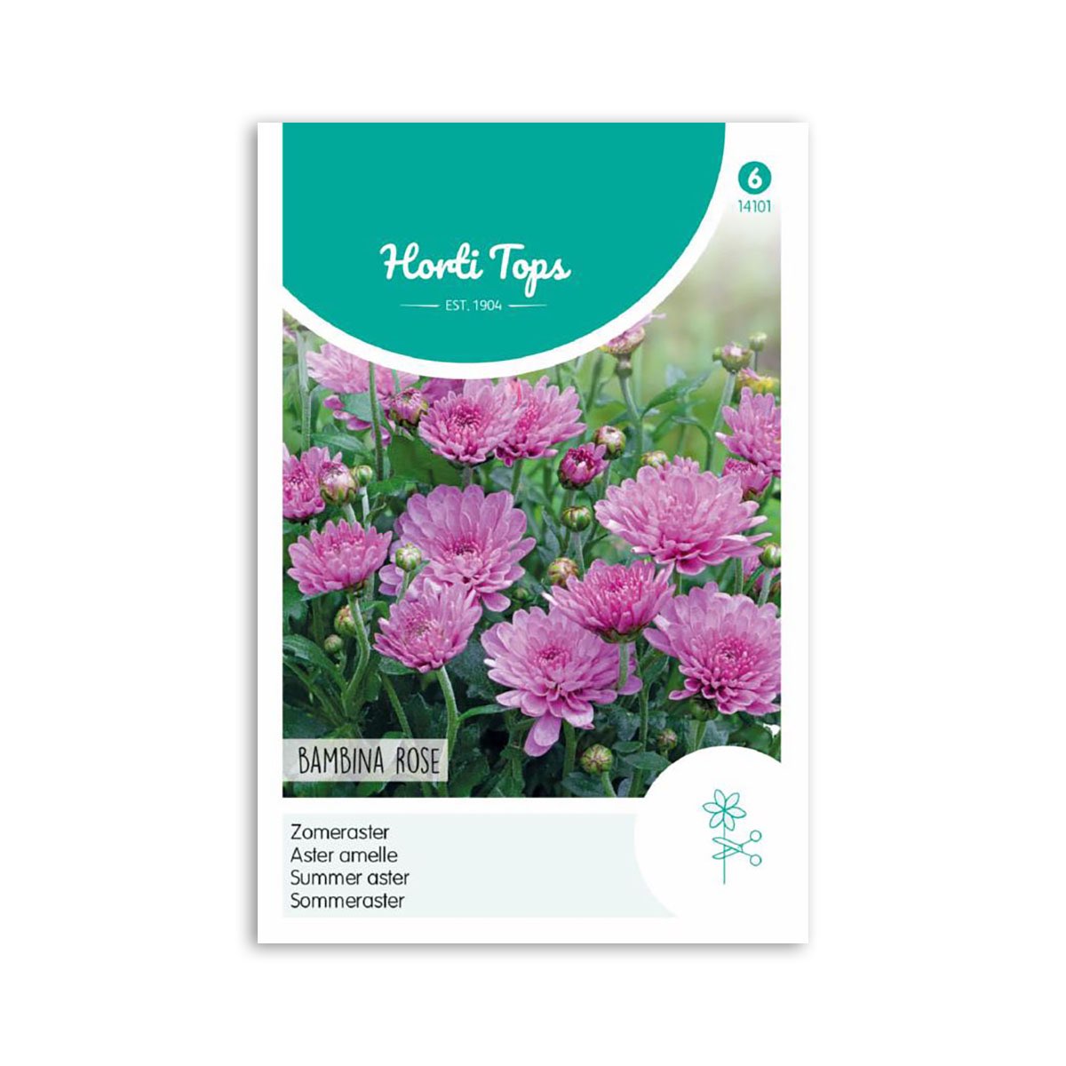 Sommer Asters Frø Quot Bambina Rose Quot Horti Tops