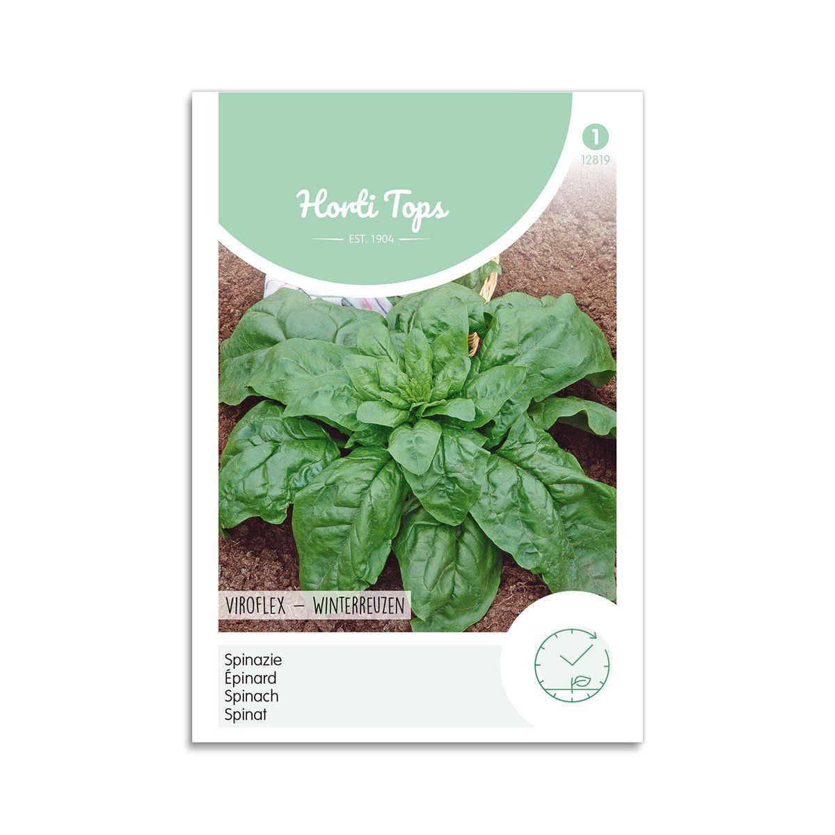 Spinat Frø  Quot Giant Winter Quot  Horti Tops