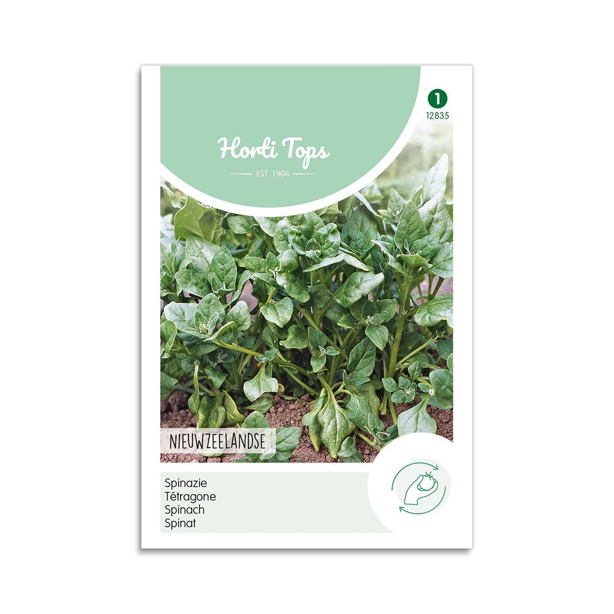 Spinat Frø  Quot New Zealand Quot  Horti Tops