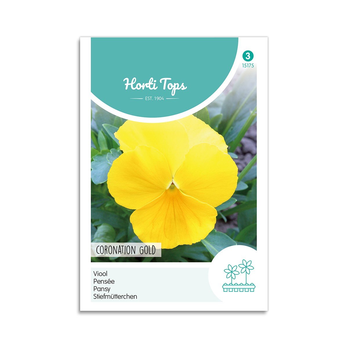 Stedmoderblomst Frø  Quot Coronation Gold Quot  Horti Tops