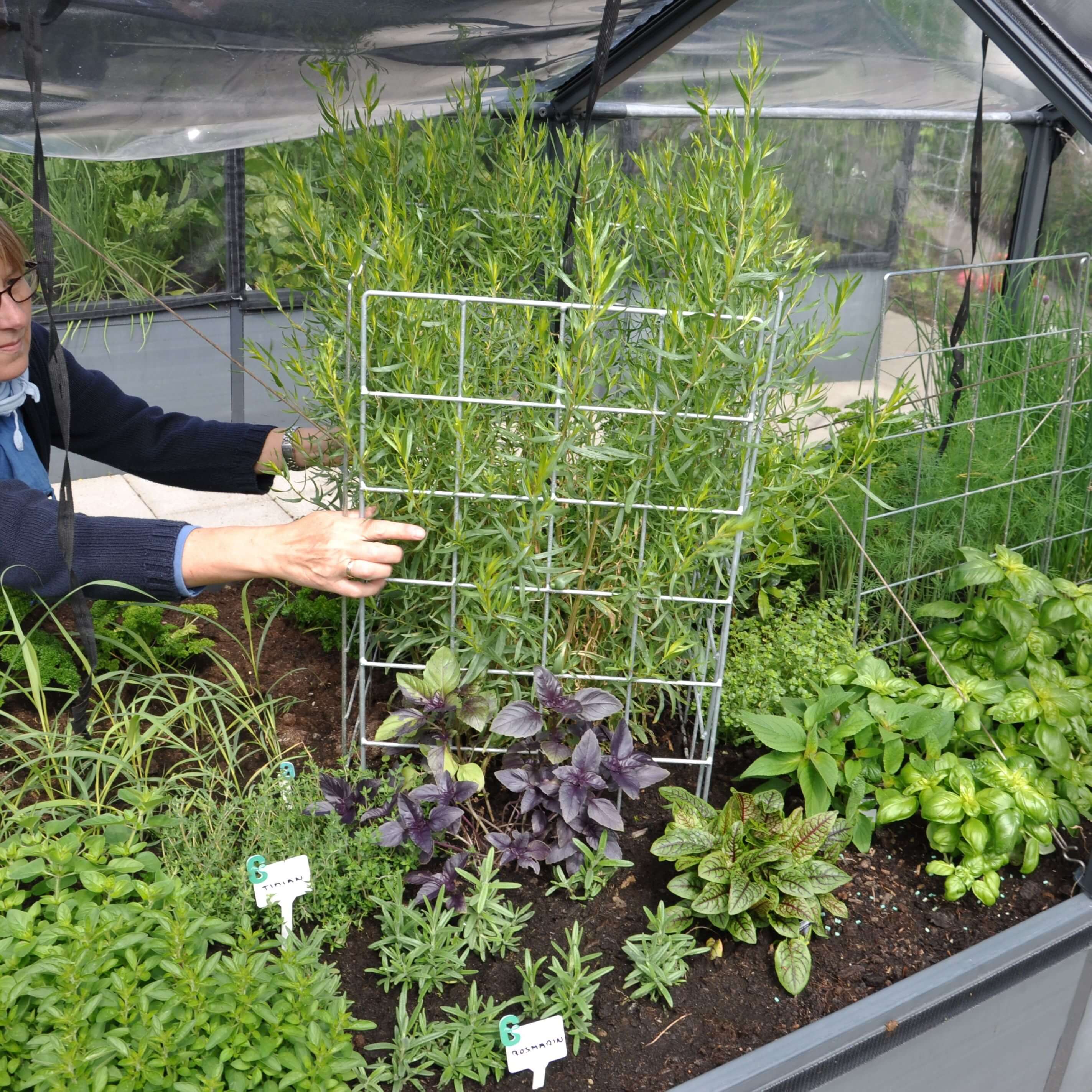 10 Stk  Grownet Espalier   Galvaniseret Net 40x80