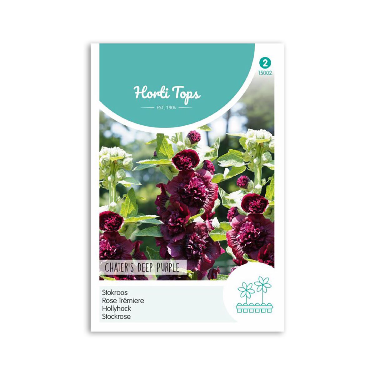 Stokrose Frø Quot Chaters Deep Purple Quot Horti Tops