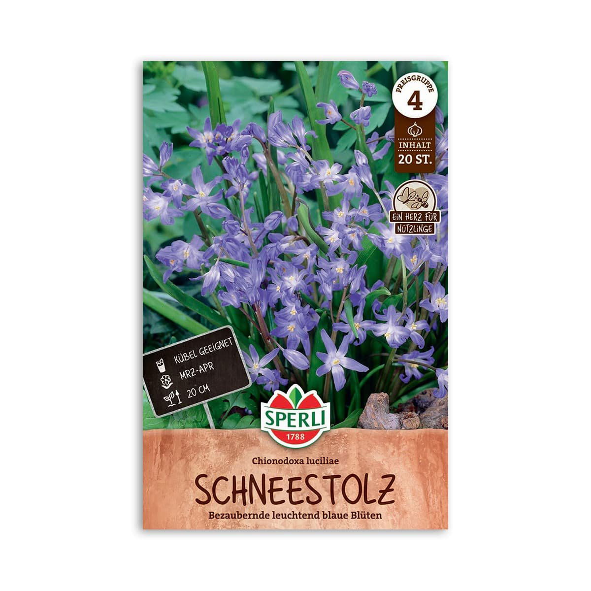 Stor Snepryd  Quot Chionodoxa Luciliae Quot  20 Løg