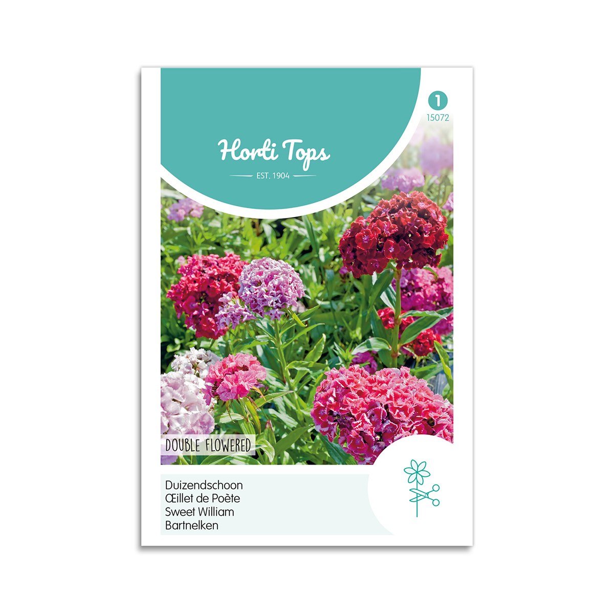 Studenternellike Frø  Quot Double Flowered Mix Quot  Horti Tops