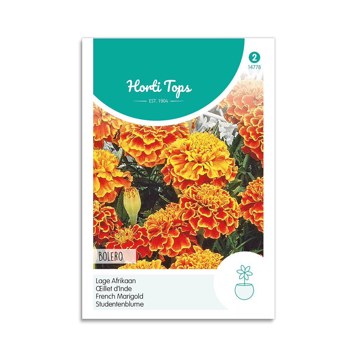 Tagetes Frø  Quot Bolero Quot  Horti Tops