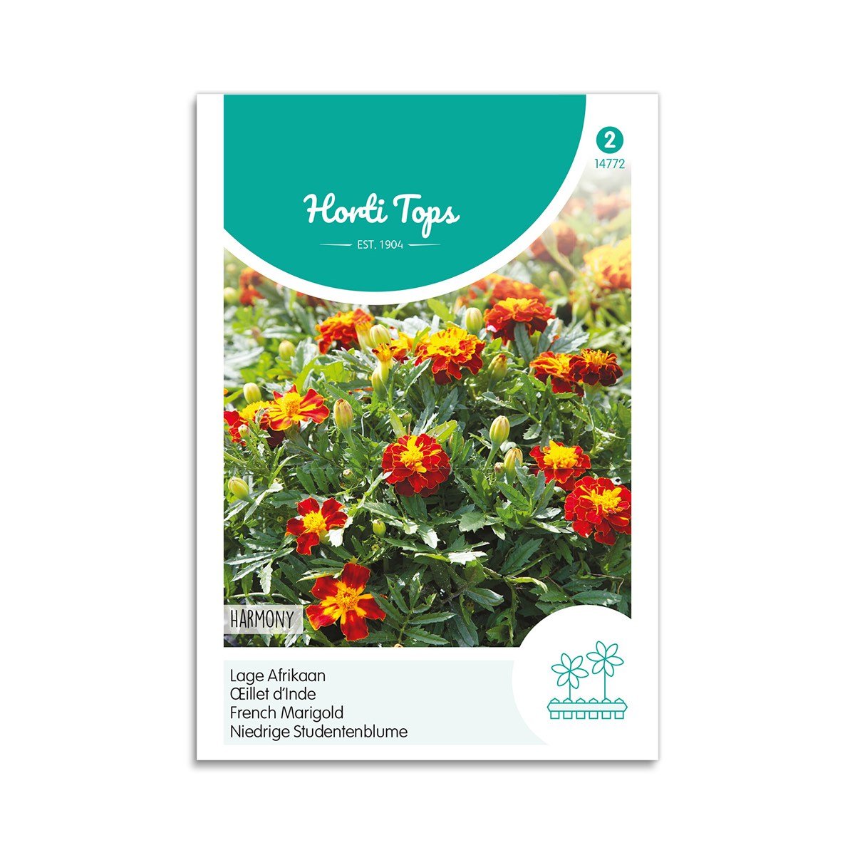 Tagetes Frø  Quot Harmony Quot  Horti Tops