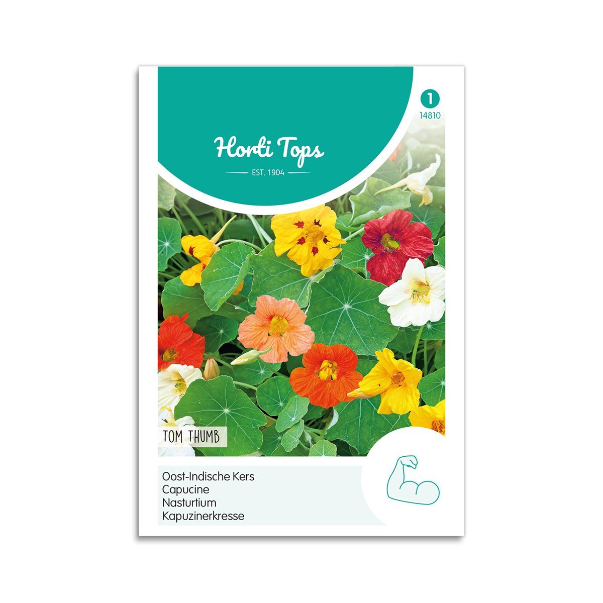 Tallerkensmækker Fræ  Quot Tom Thumb Quot  Horti Tops