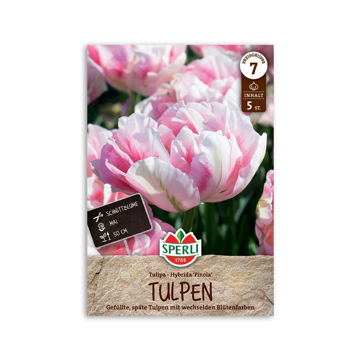 Tulipan Quot Finola Quot Løg