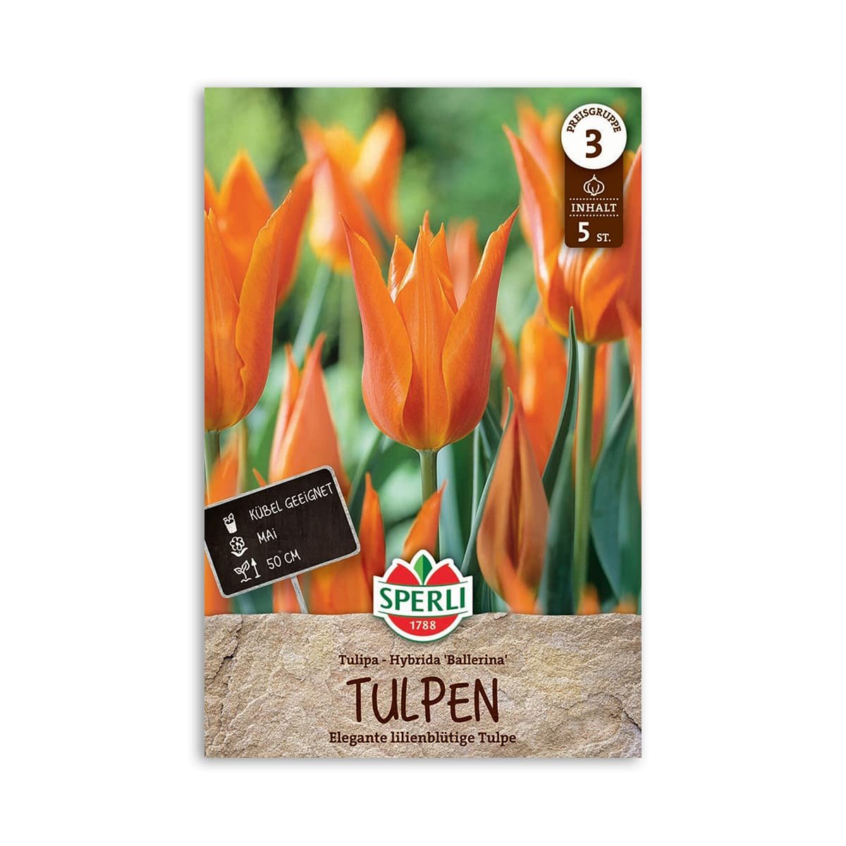 Tulipanløg  Quot Ballerina Quot    Løg