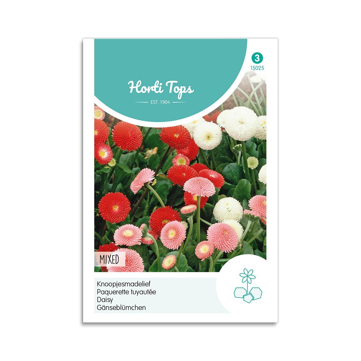 Tusindfryd Frø  Quot Bellis Quot  Horti Tops