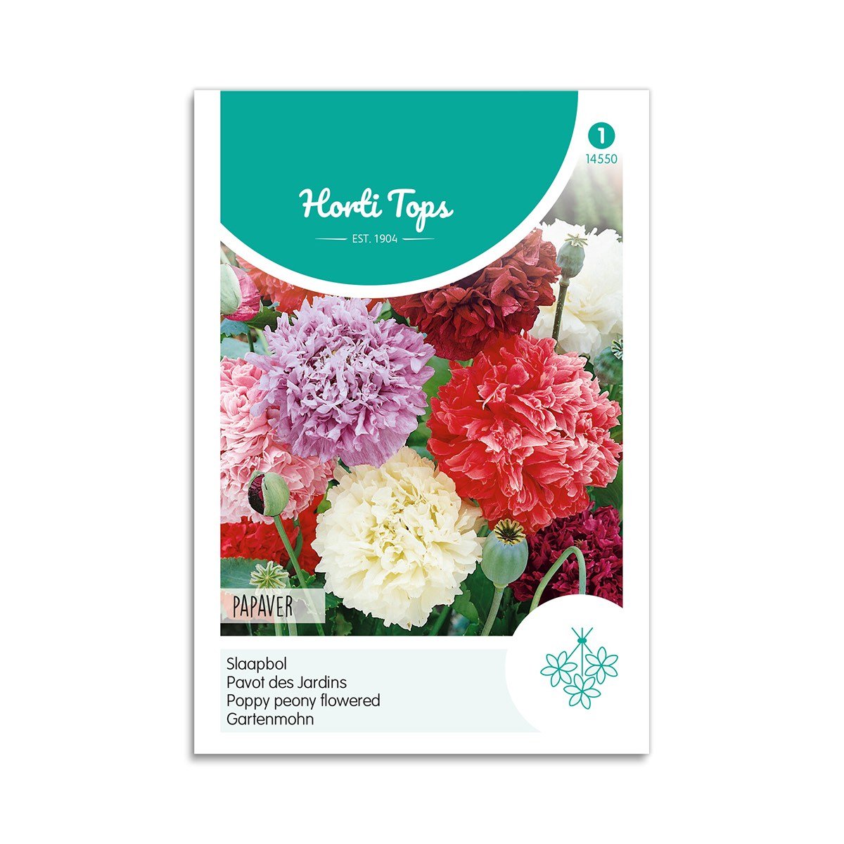 Valmue Pæon Frø  Quot Papaver Quot  Horti Tops