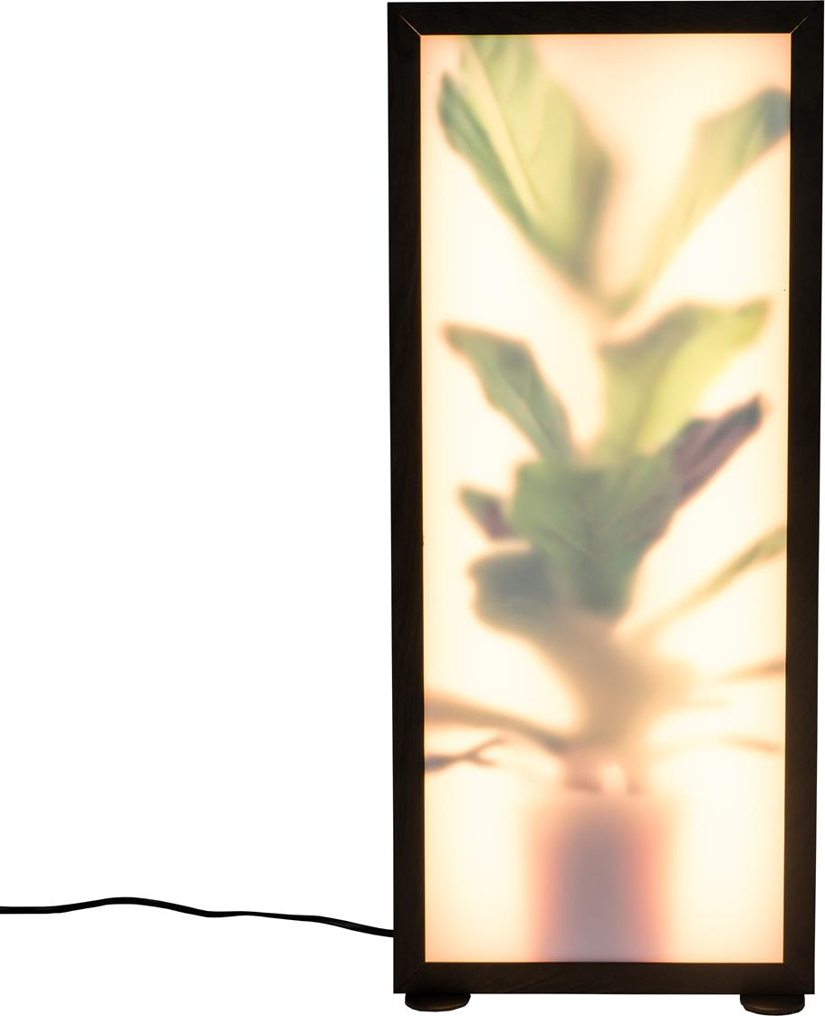 Gulvlampe Grow Fra Zuiver   Integreret Led   Kulsort Akrylglas Med 3d Planteillusion  Dæmpbar