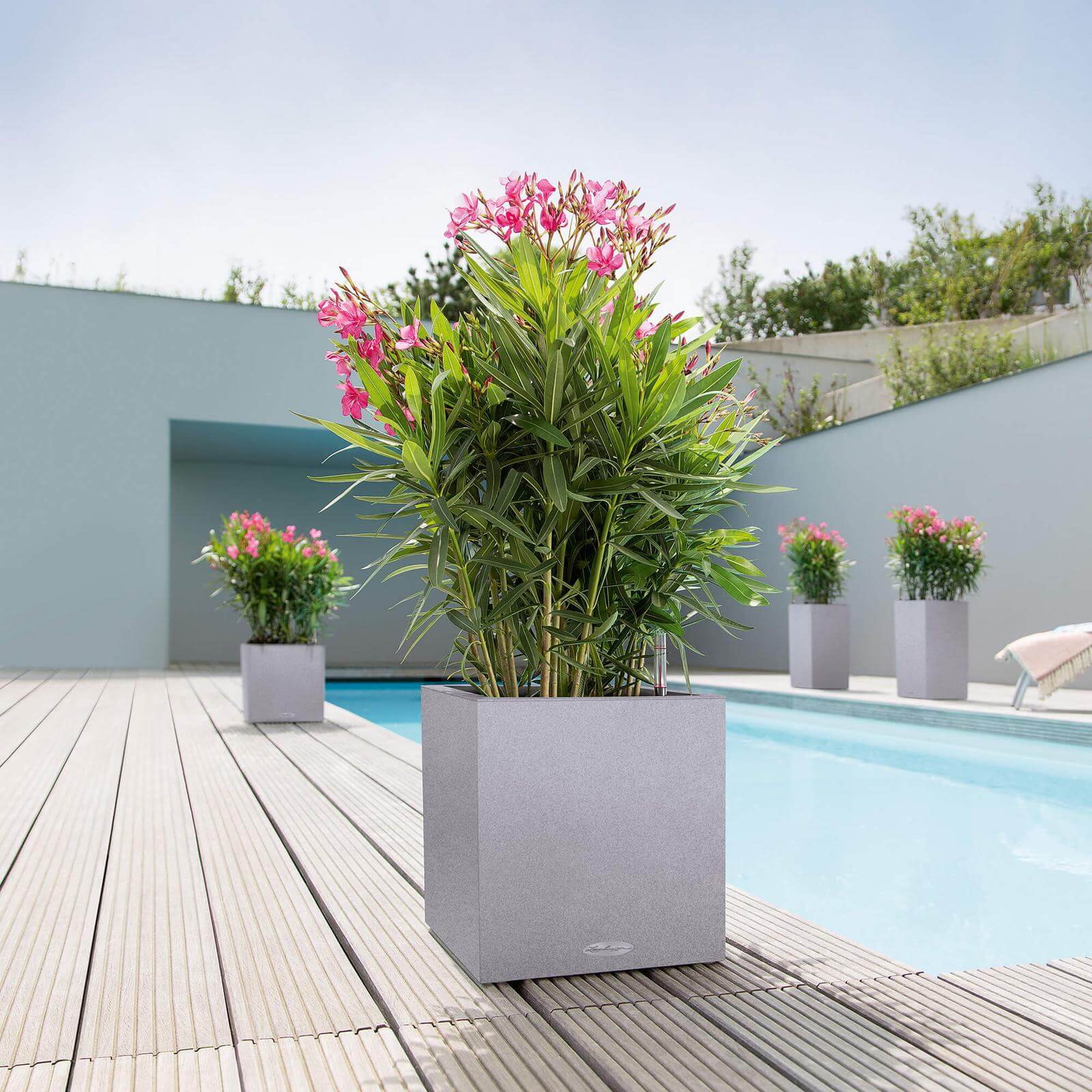 Lechuza Canto Stone Low Udendørs Krukke Til Blomster Med Selvvandingssytem Stone Gray 40   40   H40