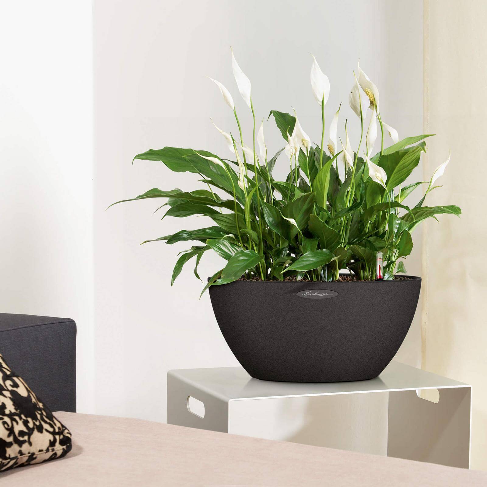 Lechuza Cubeto Stone Udendørs Krukke Til Blomster Med Selvvandingssystem  Graphite Black ø40xh18