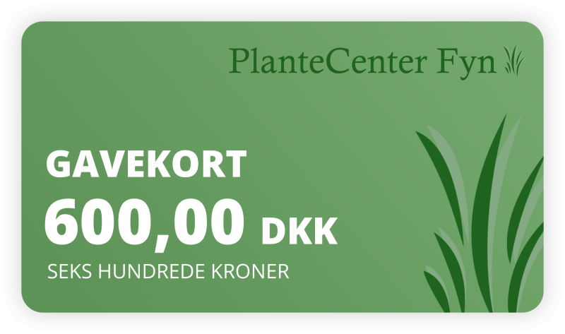 Gavekort    600 -