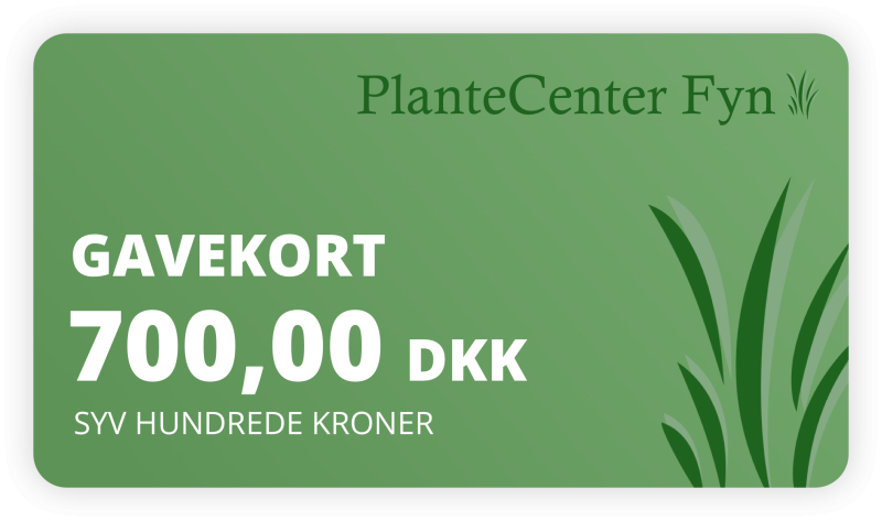 Gavekort    700 -
