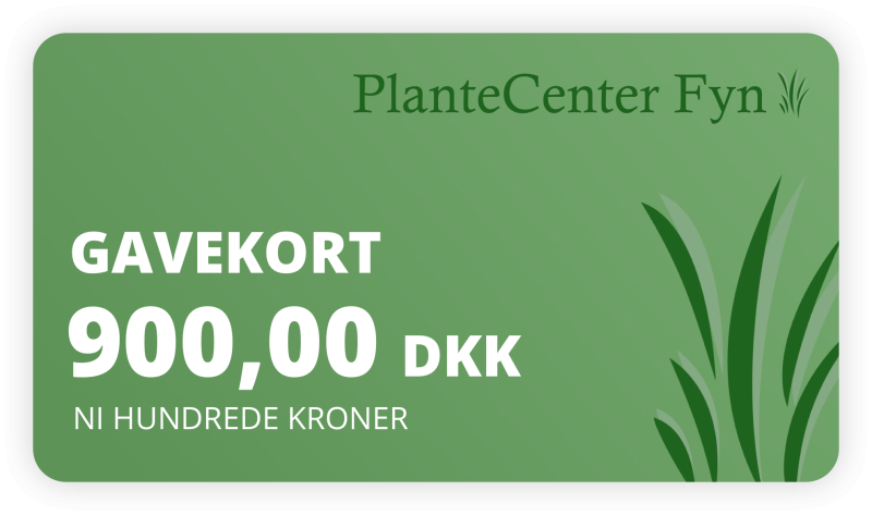 Gavekort    900 -