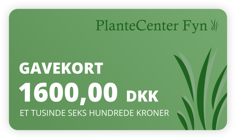 Gavekort    1600 -